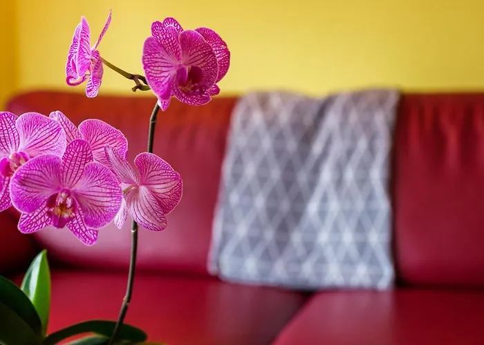 Aba-sporting House * Leukerbad